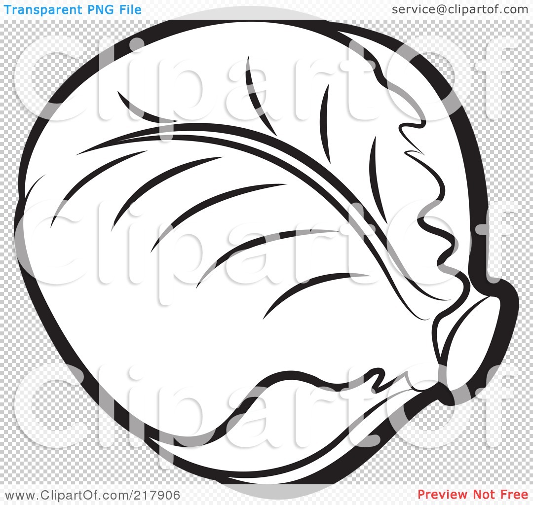 cabbage clipart black and white