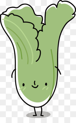 cabbage clipart bok choy