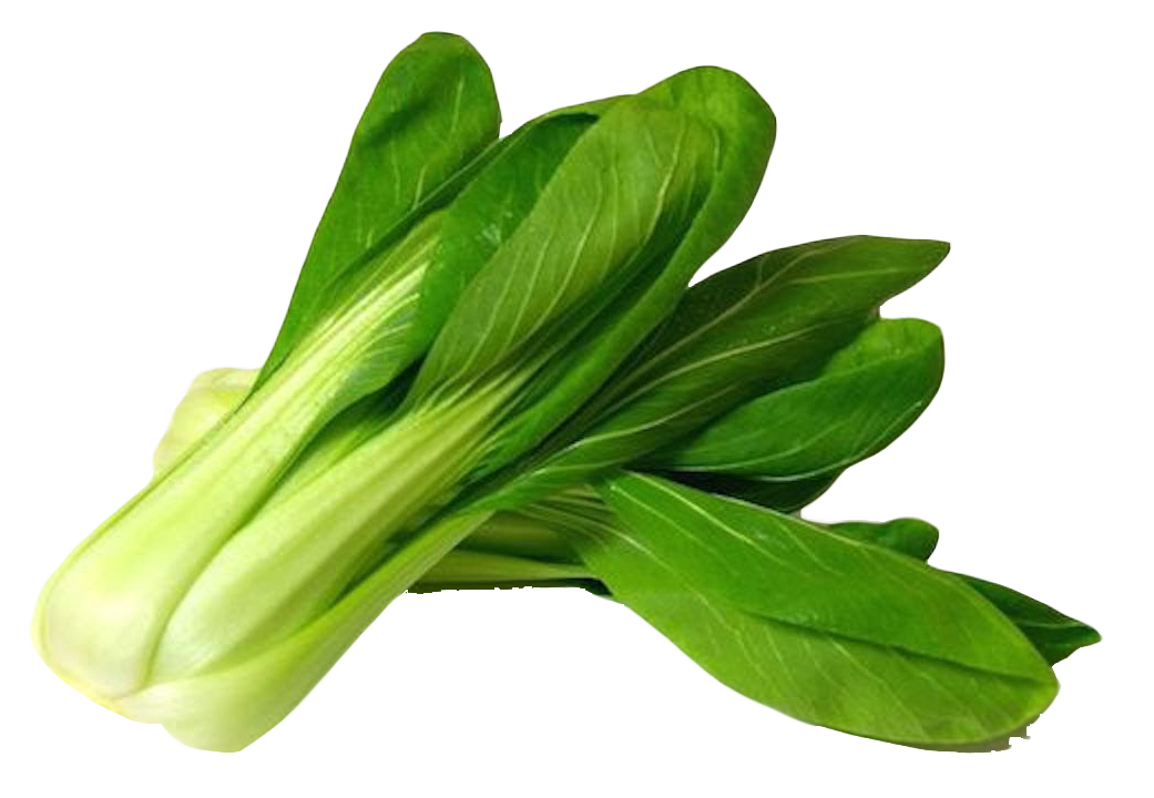 Vegetables clipart bok choy. Png image purepng free
