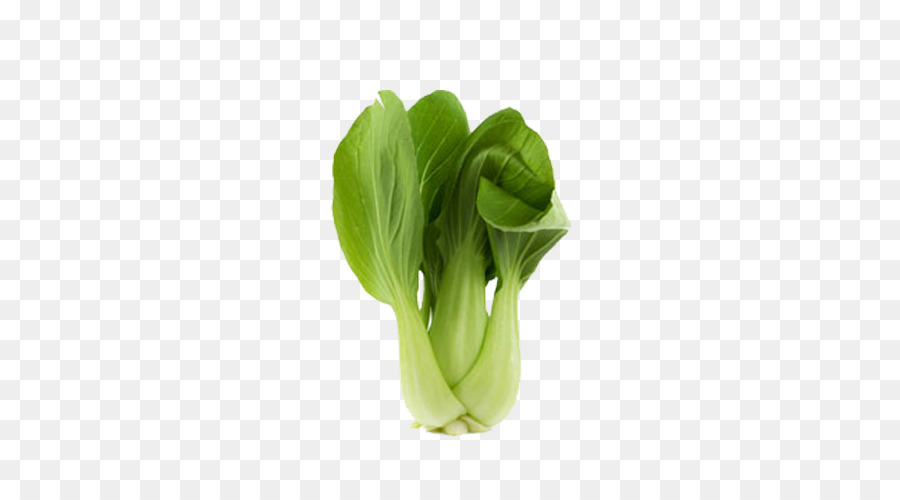 cabbage clipart bok choy