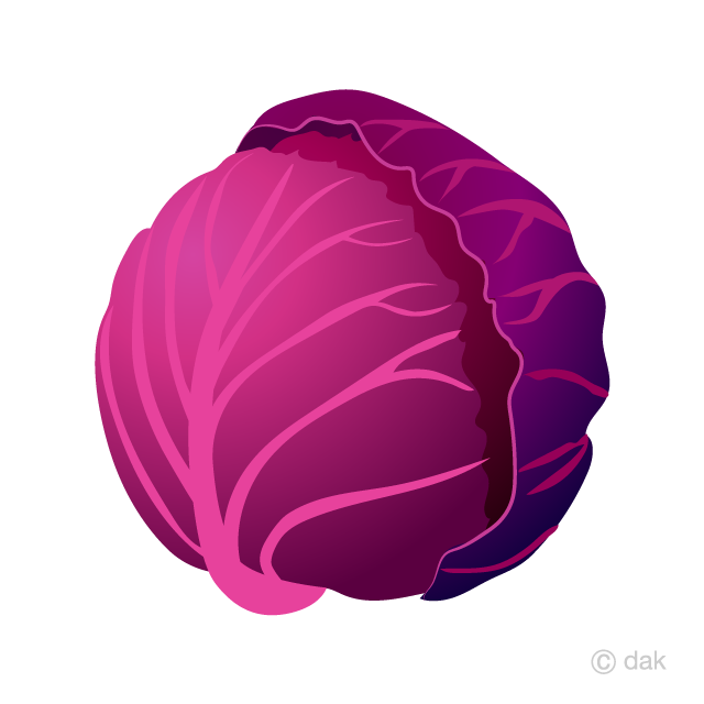 cabbage clipart cabage