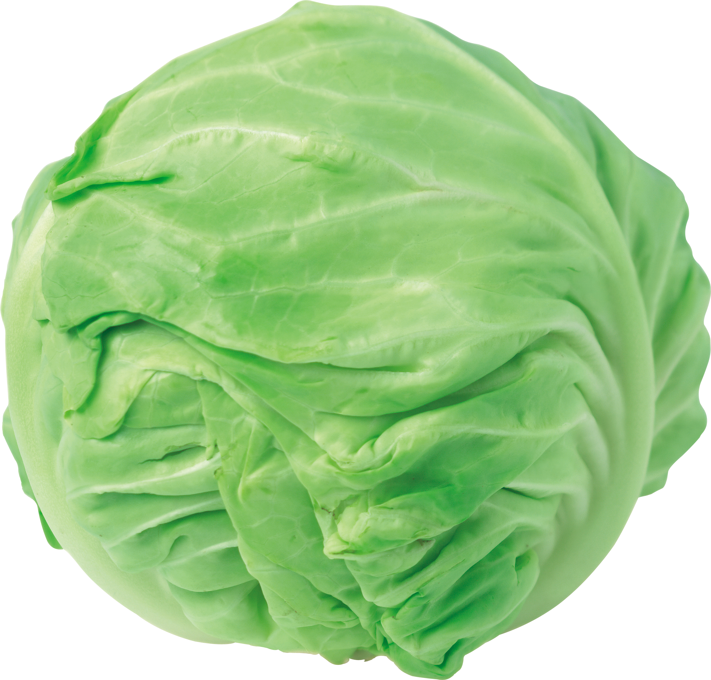 Lettuce clipart ice burg. Cabbage png image free