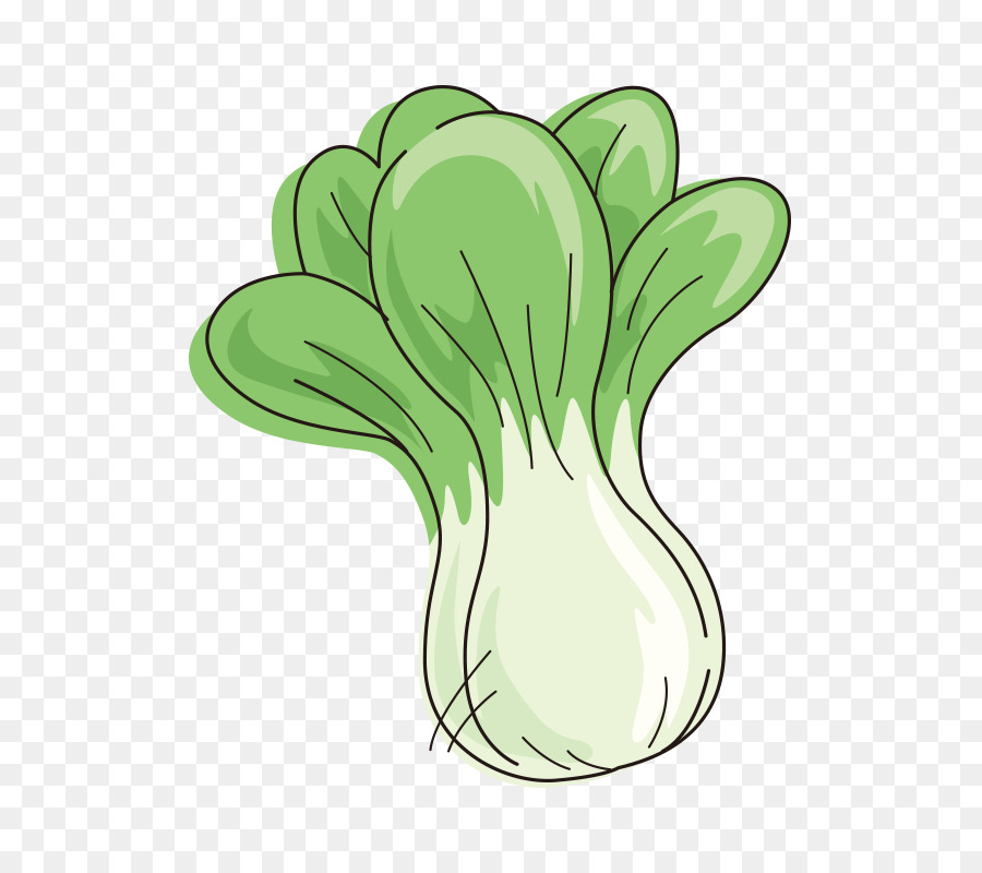 Cabbage clipart cabbage chinese. Cartoon vegetable vegetables png