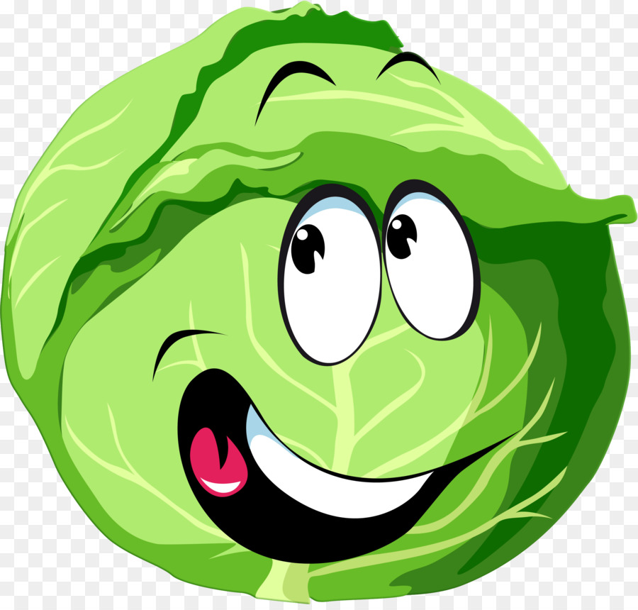 cabbage clipart cabbage soup