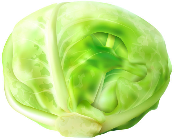 Free png image pinterest. Cabbage clipart clip art