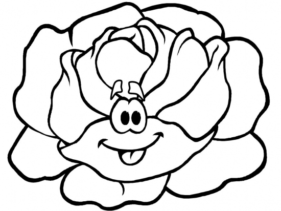 cabbage clipart colouring page