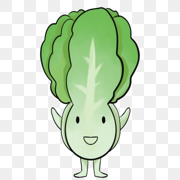 cabbage clipart cute