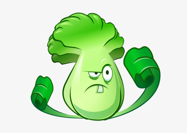 cabbage clipart cute