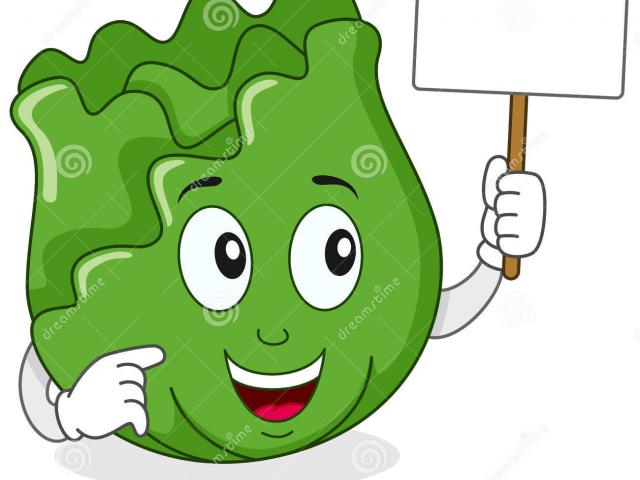 cabbage clipart face