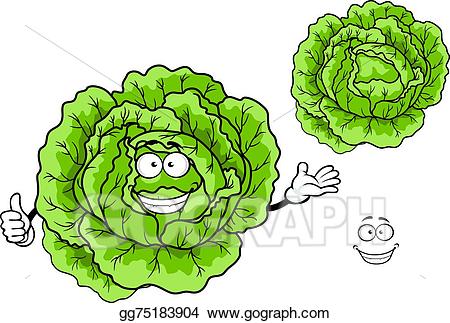 Cabbage clipart happy. Vector green cartoon vegetable