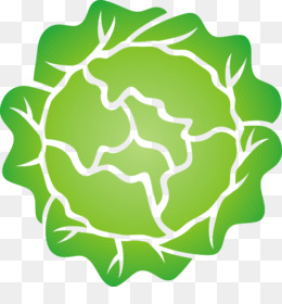 cabbage clipart iceberg lettuce