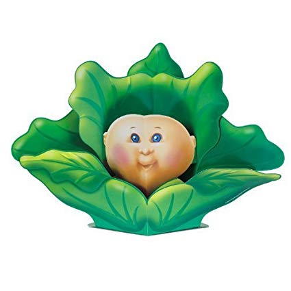cabbage clipart kid