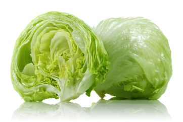cabbage clipart leafy vegetable