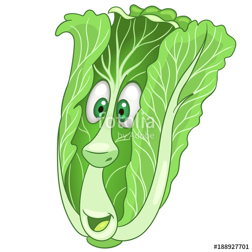 Lettuce clipart leafy vegetable. Cartoon chinese cabbage character