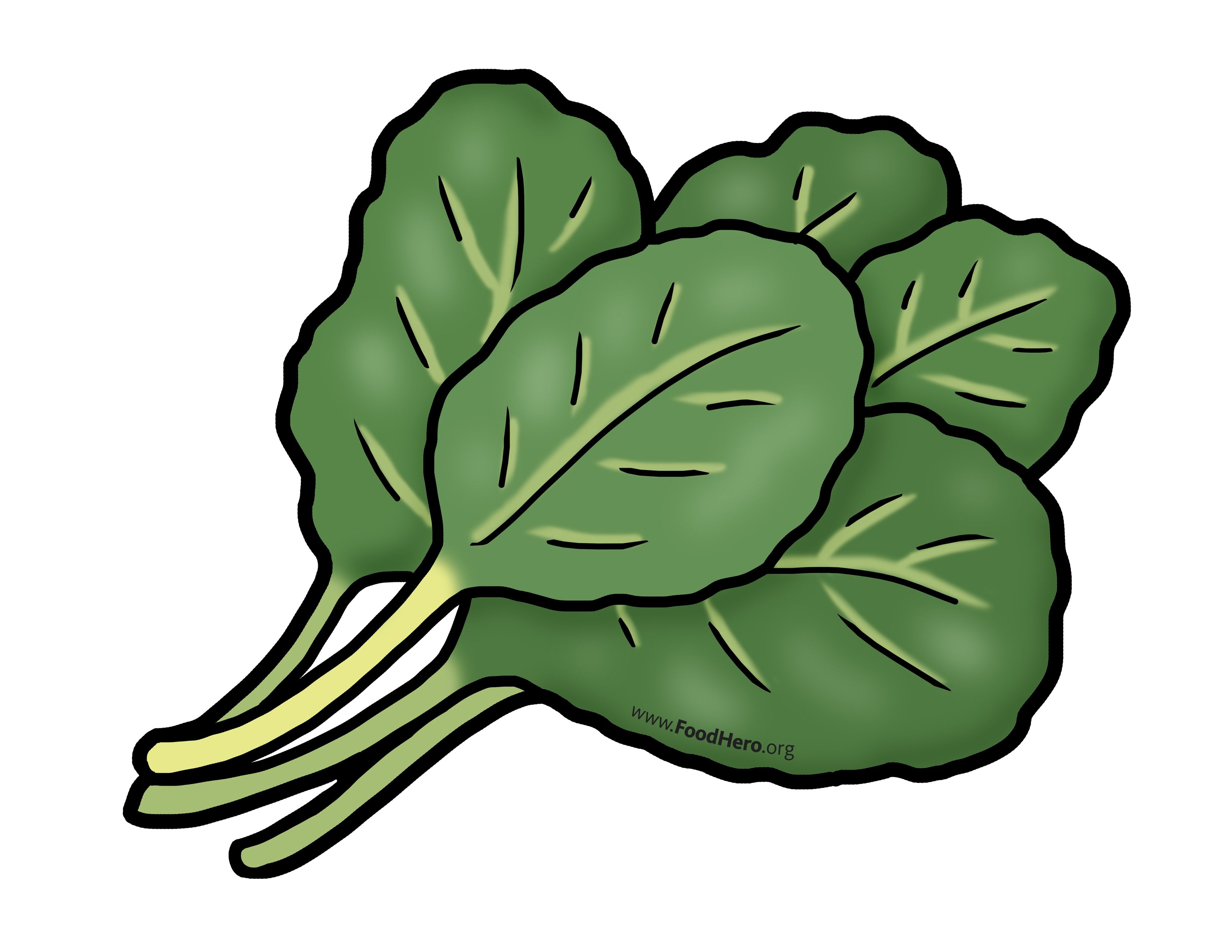 vegetables clipart leafy vegetable