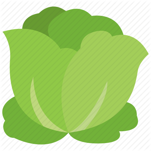 Cabbage clipart lettuce garden.  vegetables flat by