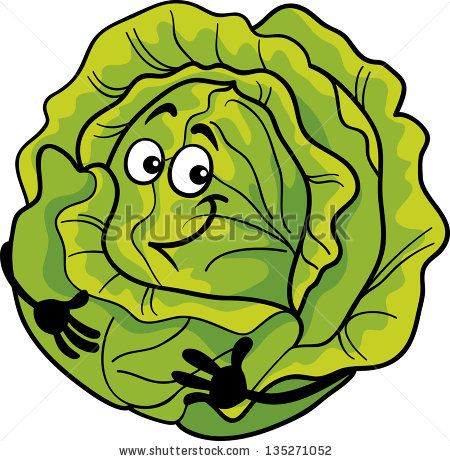 Cabbage clipart lettuce garden. Cartoon illustration of funny
