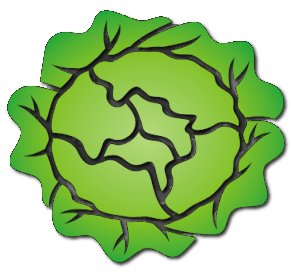 cabbage clipart lettuce leave