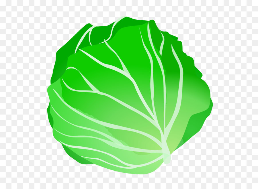 cabbage clipart lettuce leave