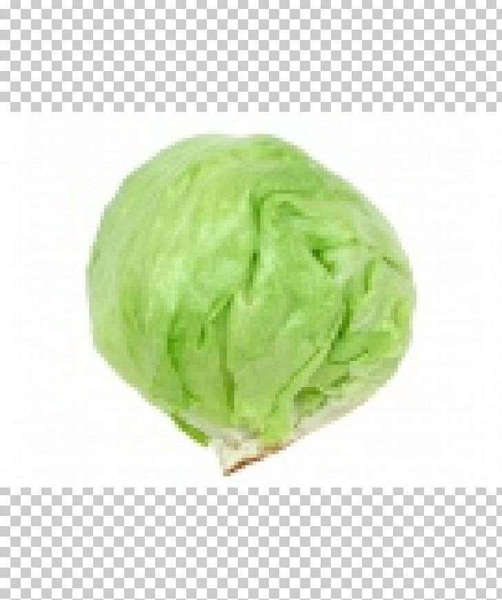 cabbage clipart lettus