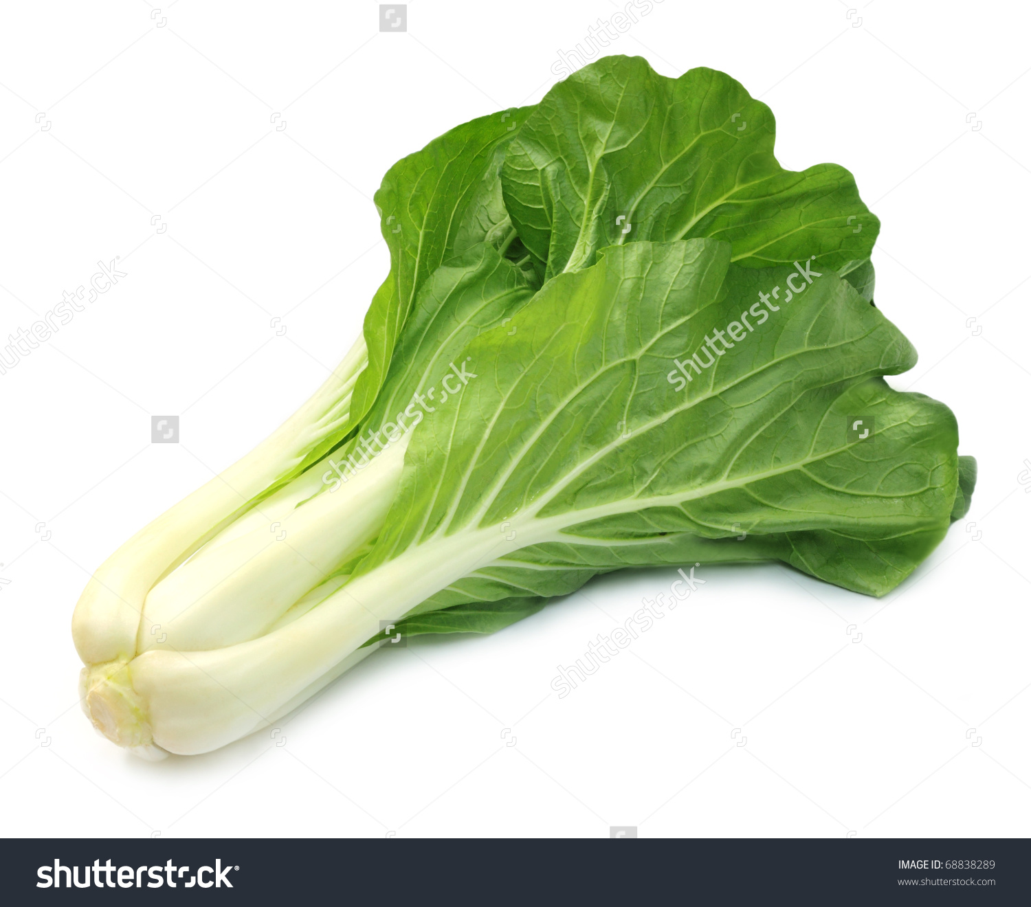Cabbage petchay