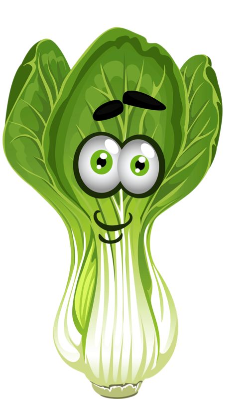 cabbage clipart petchay