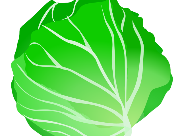 cabbage clipart petchay