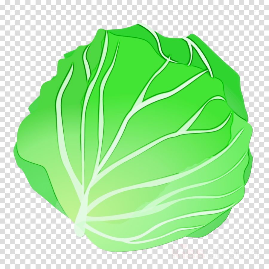 Cabbage clipart row. Green leaf vegetable wild