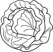Cabbage clipart row. Cilpart picturesque design ideas