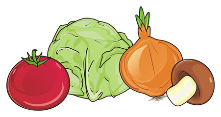 Cabbage clipart row. Search photos vigitirism vegetables