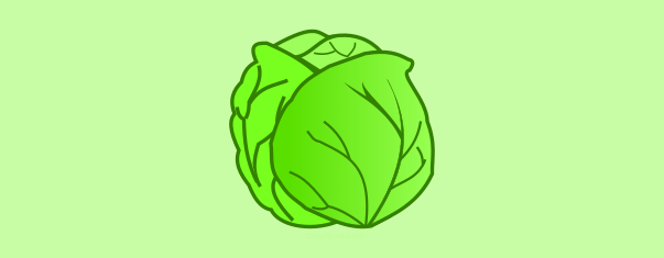 cabbage clipart row