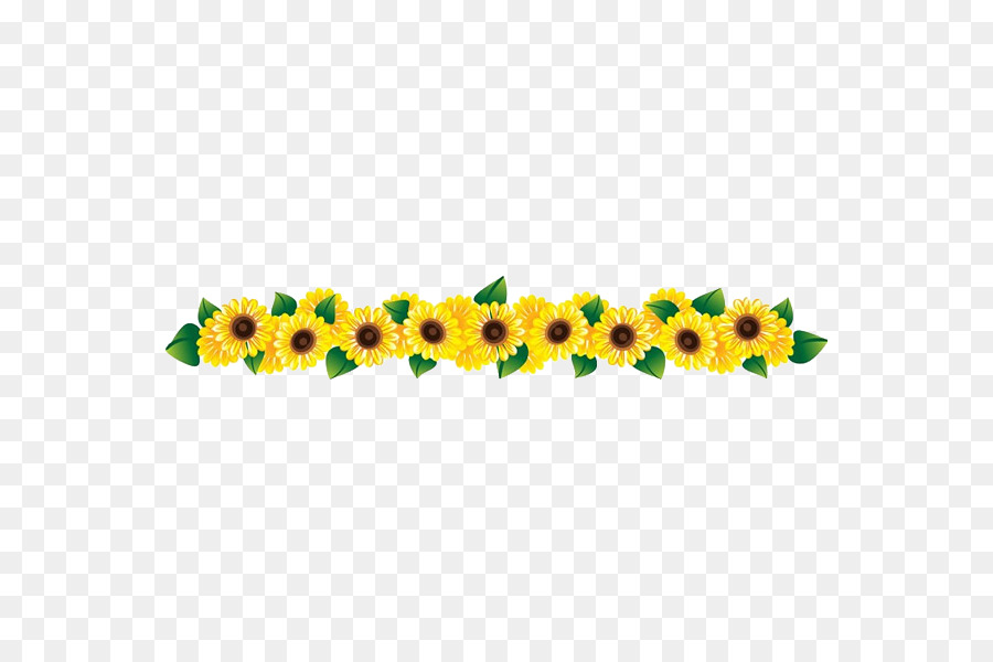 Cabbage clipart row. Common sunflower clip art