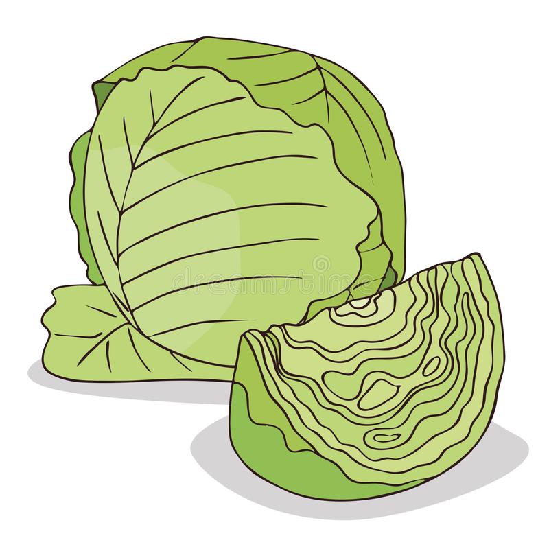 Free download clip art. Cabbage clipart row