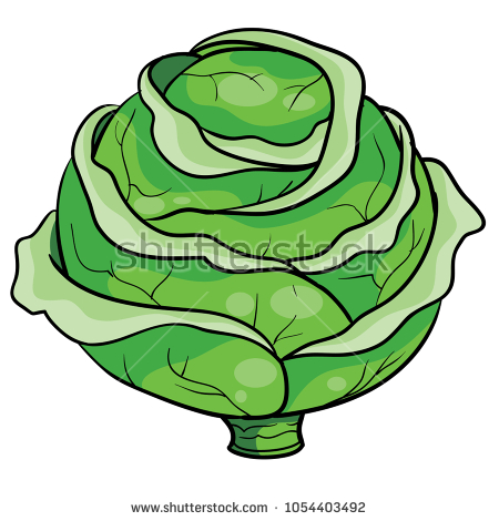 Free download clip art. Cabbage clipart row