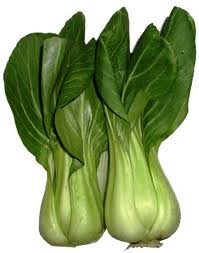 cabbage clipart sawi