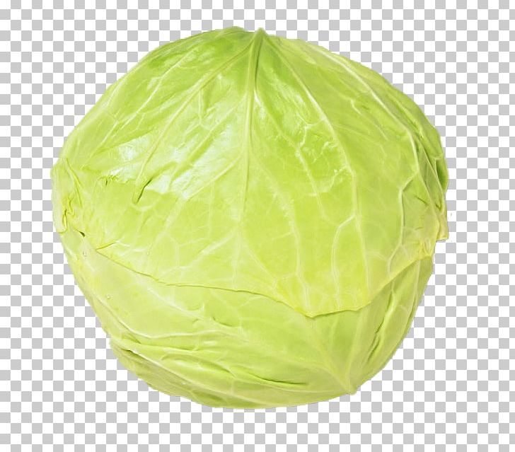 cabbage clipart single vegetable