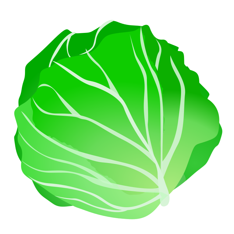 cabbage clipart svg