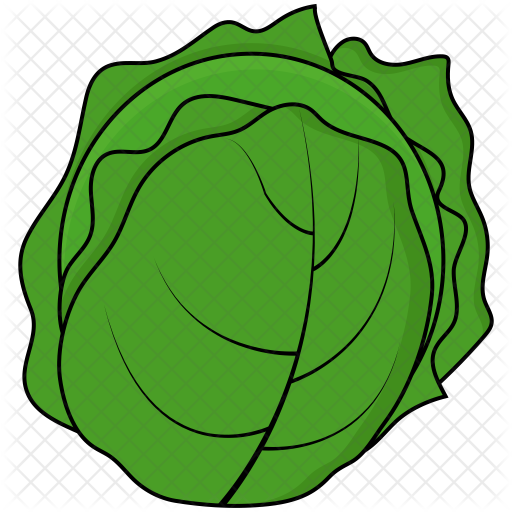 Icon food drinks icons. Cabbage clipart svg