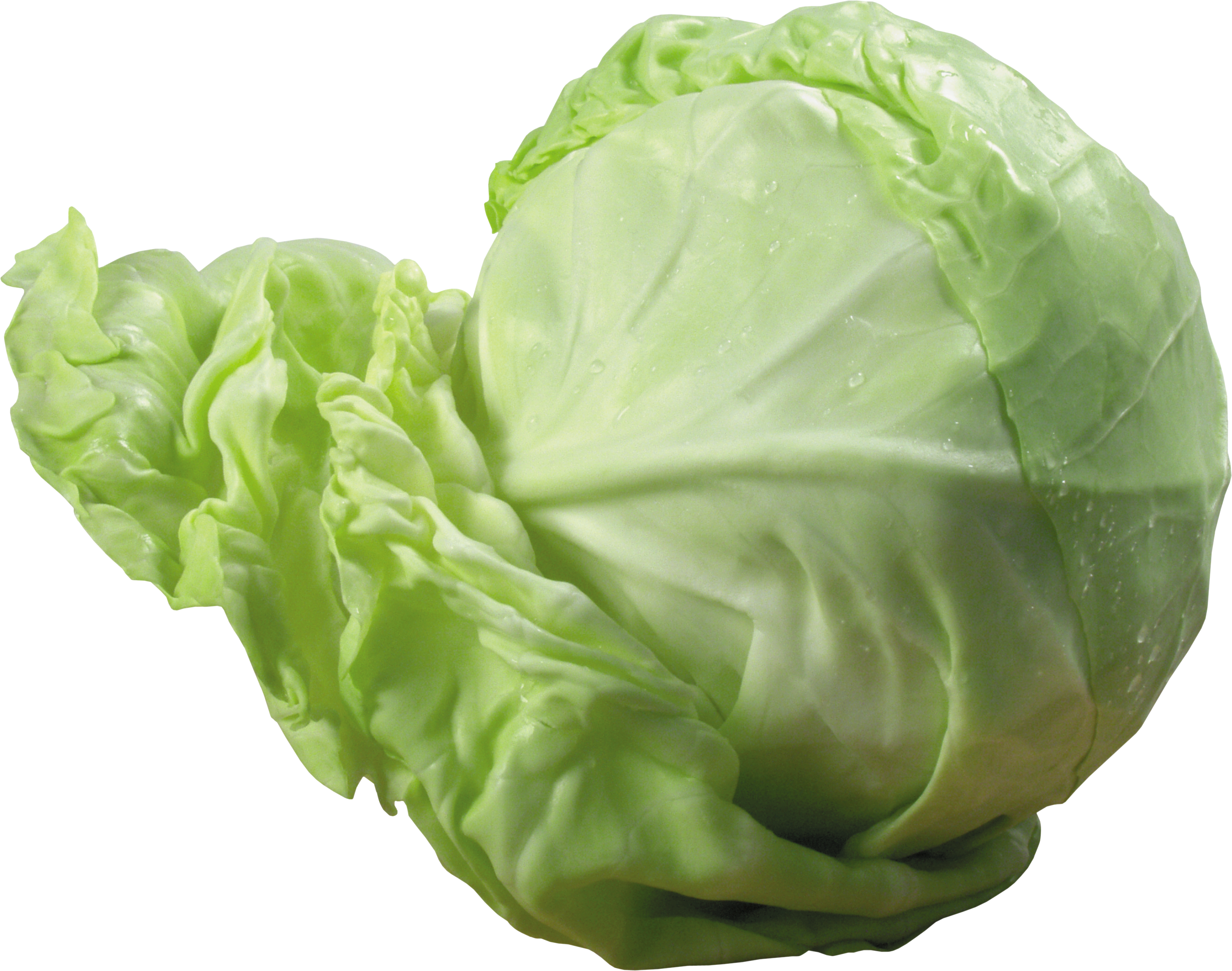 Png image . Vegetables clipart cabbage