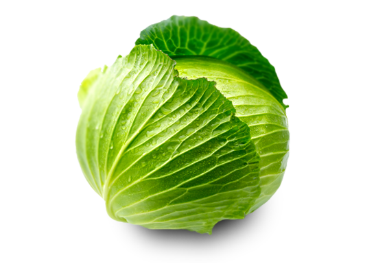 Cabbage clipart transparent background. Png images free download