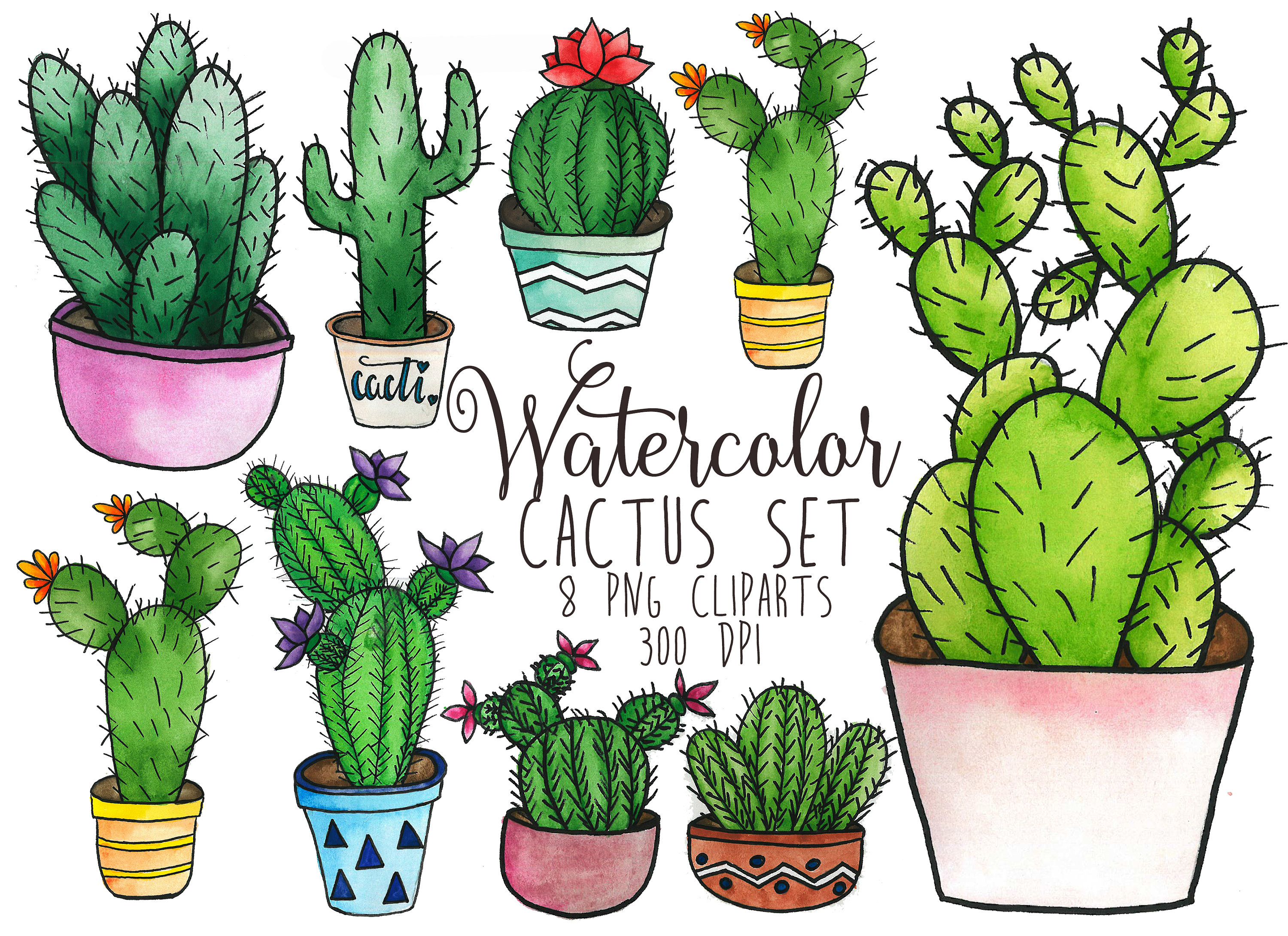 Watercolor cacti clip art succulent graphics illustration.