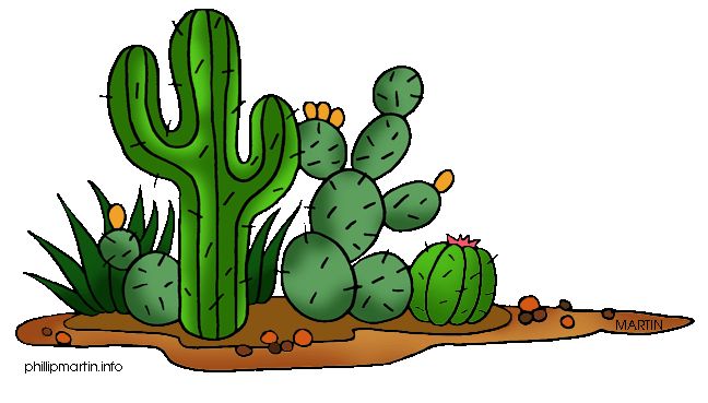 cactus clipart arizona