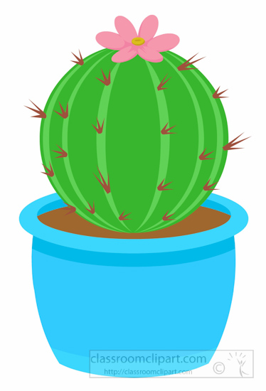 cactus clipart barrel cactus