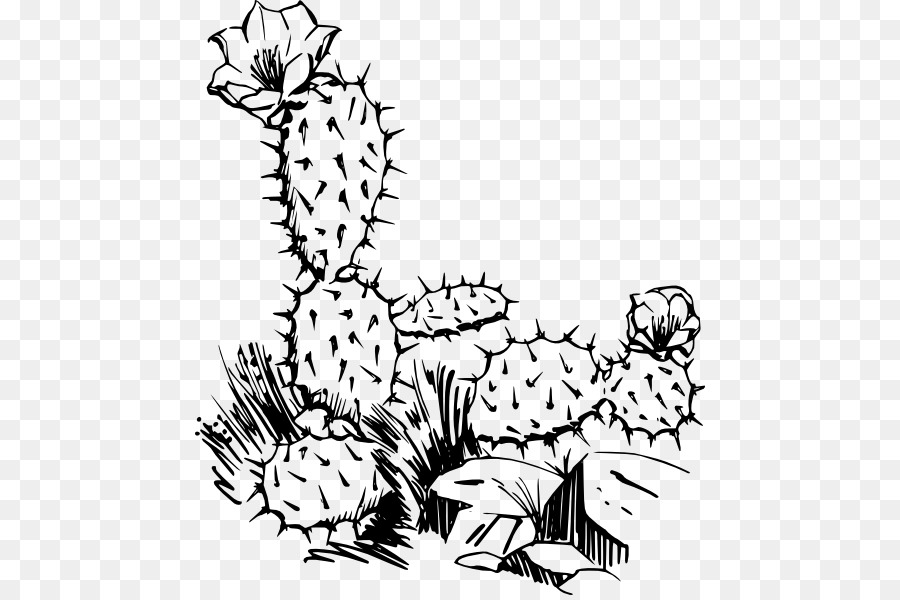 Cactus clipart black and white. 