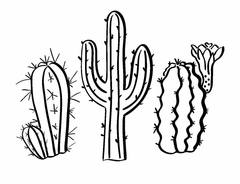 cactus clipart black and white