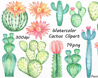 Watercolor cactus hand painted. Succulent clipart boho