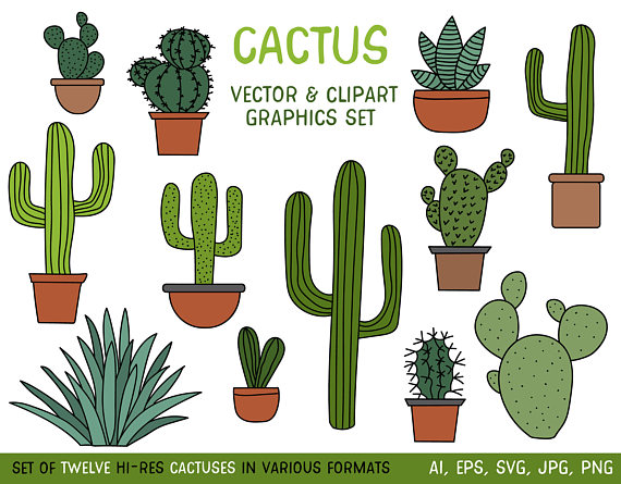 cactus clipart cactus plant
