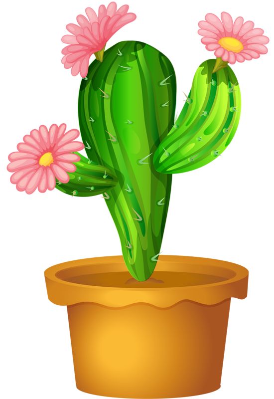 cactus clipart cactus plant