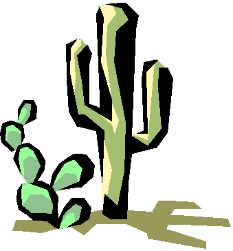 cactus clipart cholla