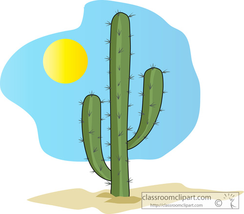 Cactus clear background